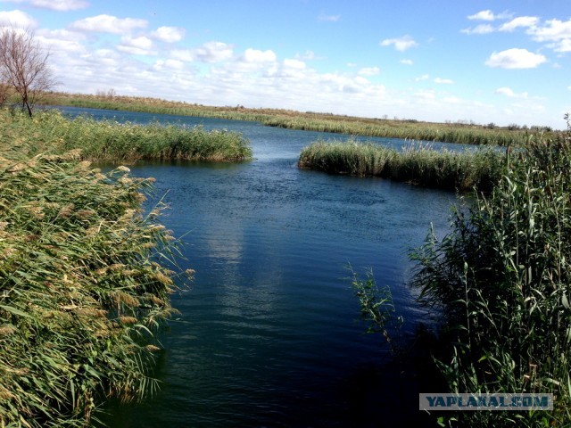 Вылазка на природу. Степь и рыбалка
