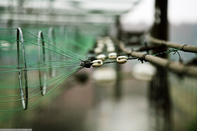 Радиотелескоп ДКР-1000