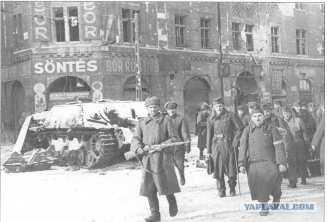 1942 год.