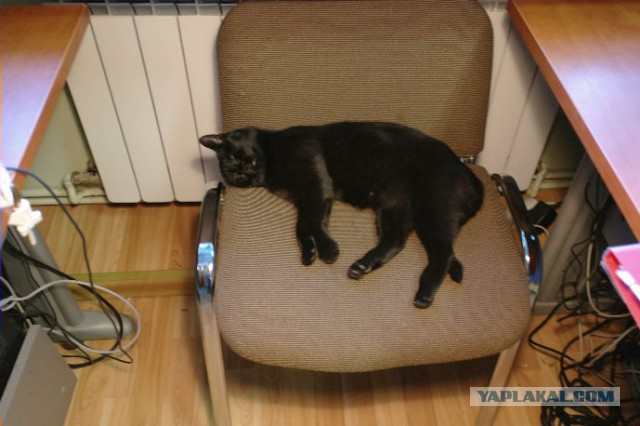 Все умрут, но некоторые не сегодня