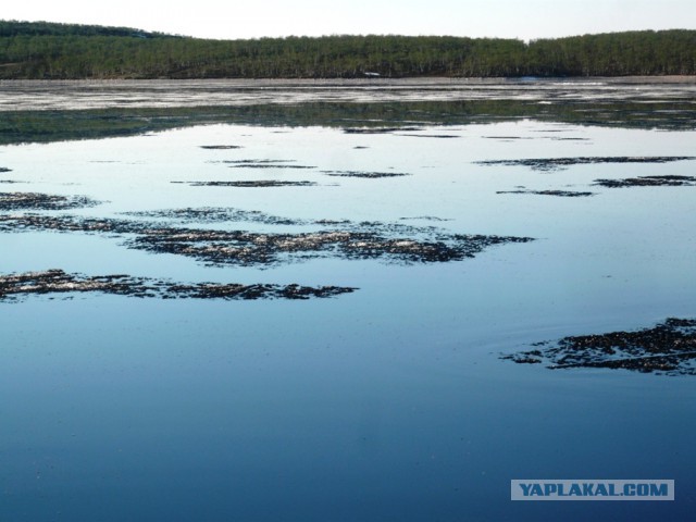 Серебрянское водохранилище.