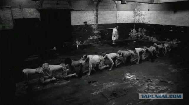 Горячо почитаемая полиция