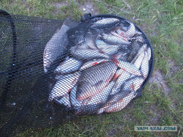 В краю рукотворного моря