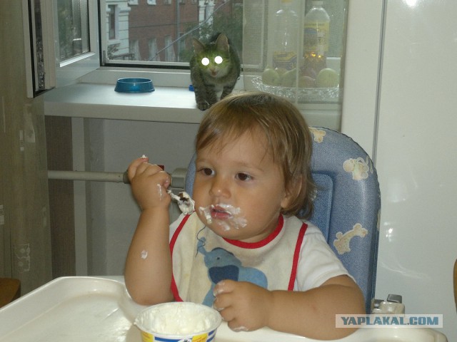 Кошка по имени Мышь