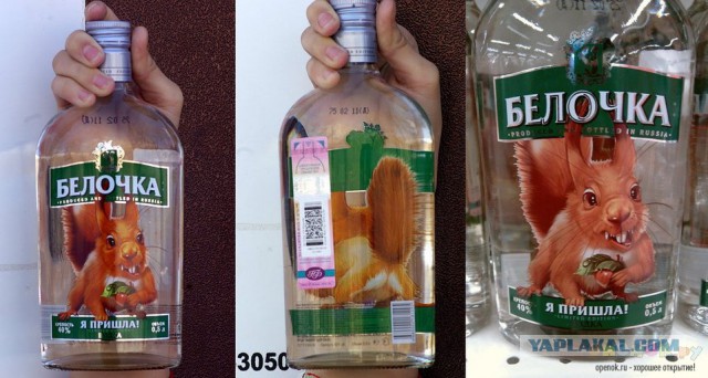 В Сыктывкаре школьники отняли наркотики у белки