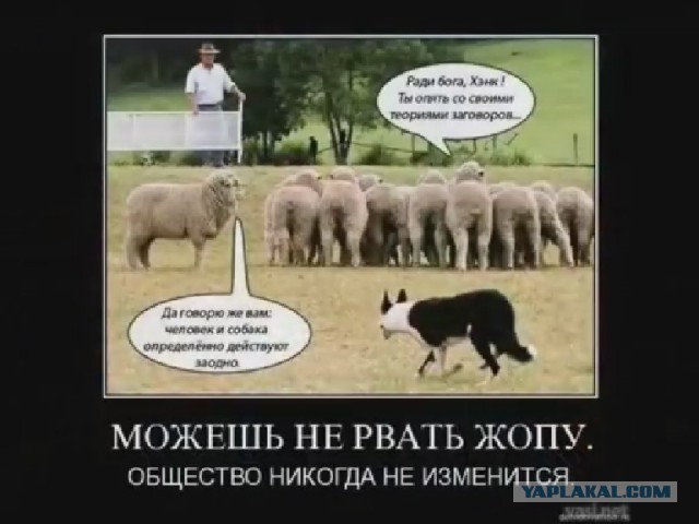 Украинская армия перешла в наступление