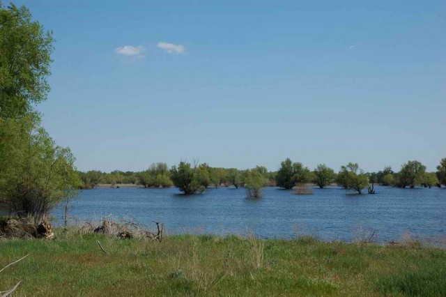 Деревенская Америка