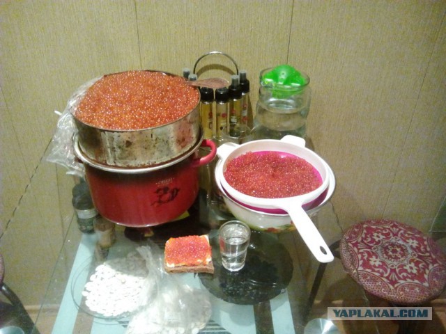 Как делают икру-пятиминутку и чем она отличается