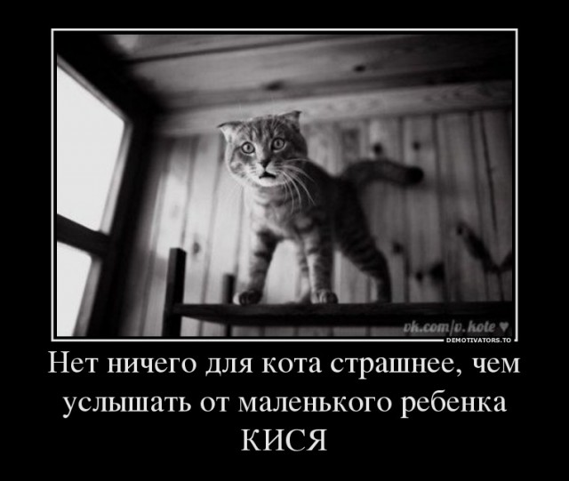 "Залюблю... залюблю!"