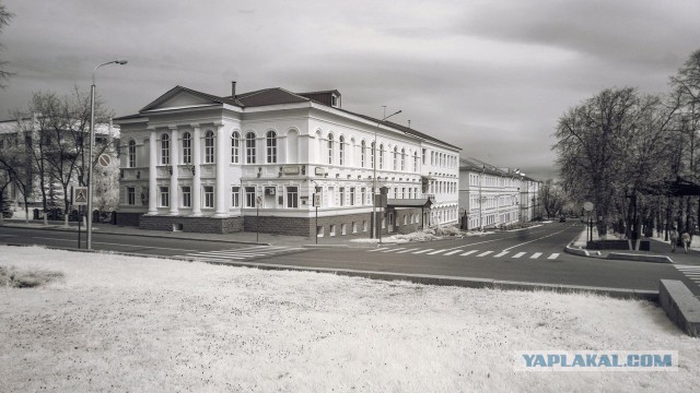 Искусство инфракрасной фотографии