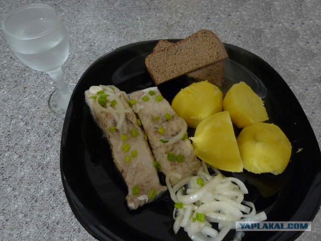 10 лет разделу "Кулинария"