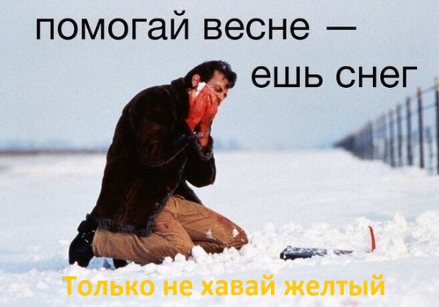 Смешные картинки