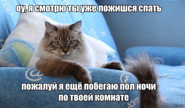 Весёлые картинки