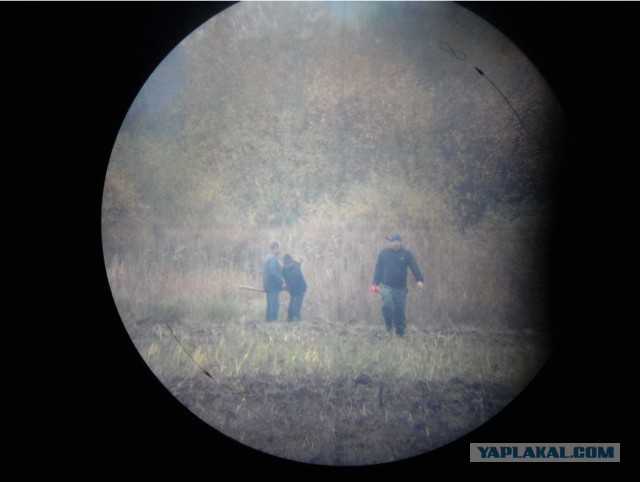 Что видят с рабочего места люди разных профессий