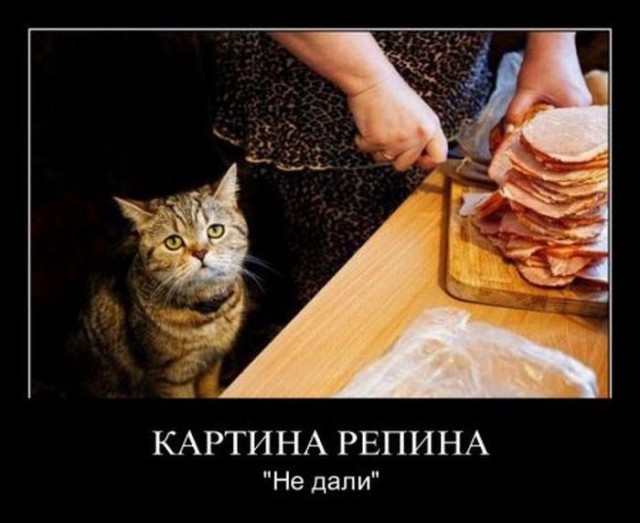Немножко картинок с буквами, типа демотиваторы