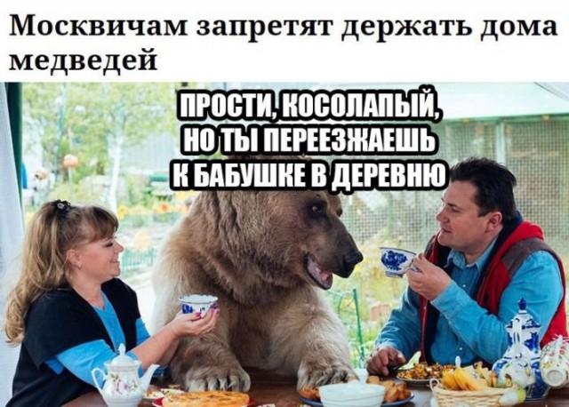 Всякое-разное из сети