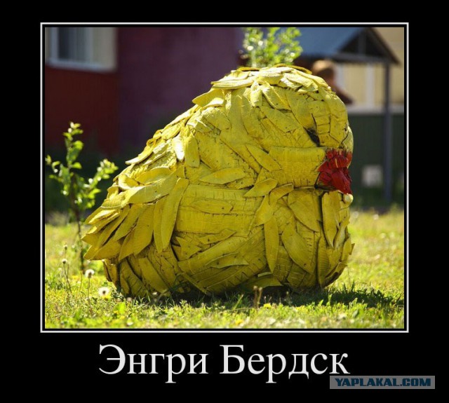 Все друг друга поняли (Смехопанорама)