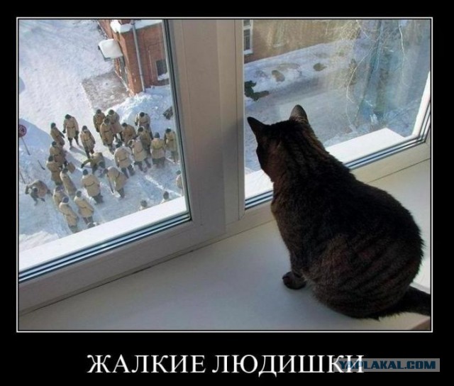 Картинки в черных рамках с подписями