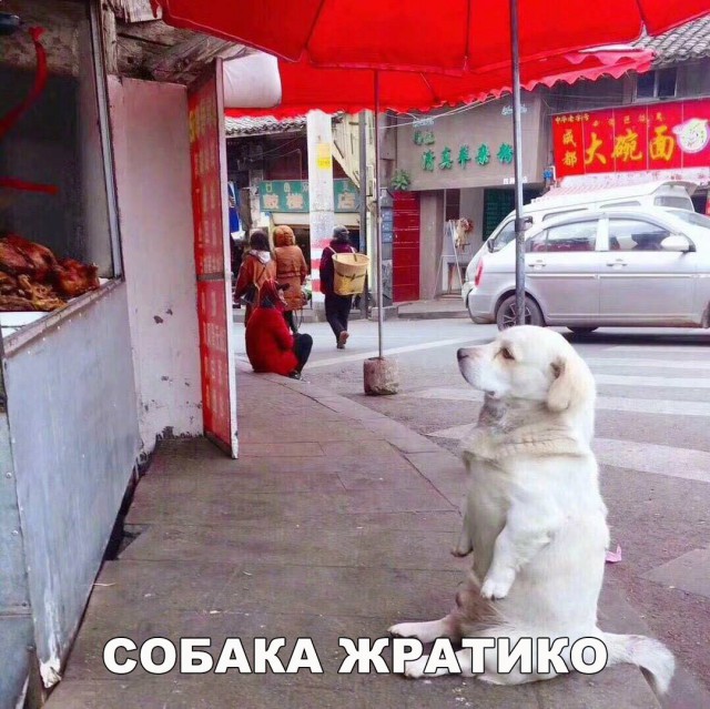 Нестандартный юмор