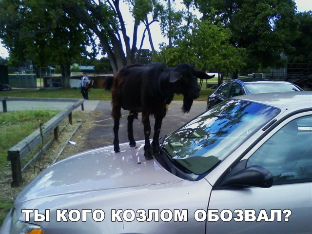 Нестандартный юмор