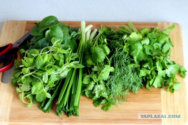 Кулинары поздравляют ЯП с днём рождения!