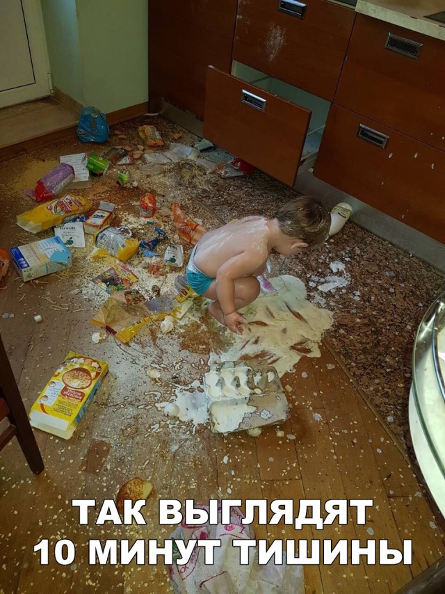 Прикольные картинки обо всём