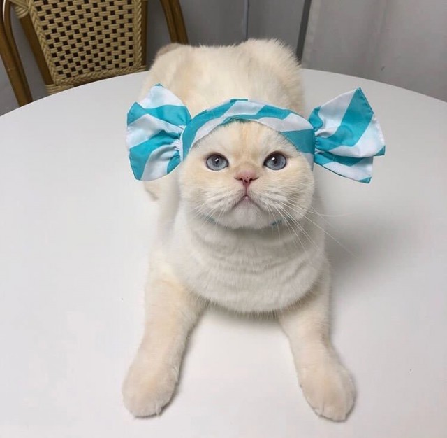 Немного милоты