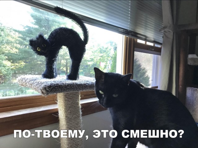 Подборка прикольных фоток