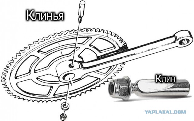 Легендарные советские велосипеды: что с ними стало сегодня