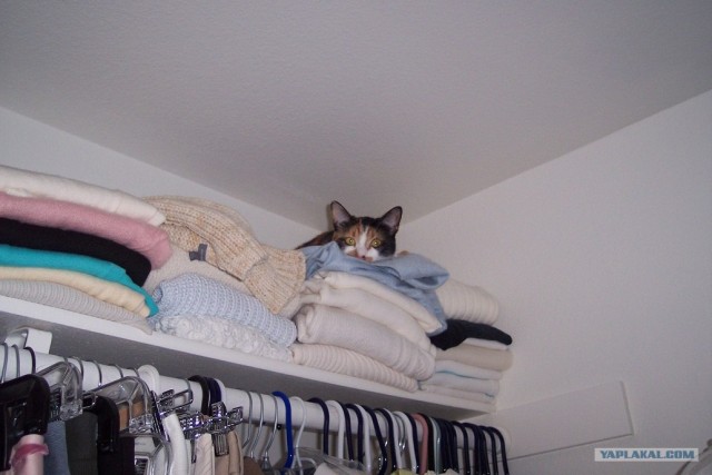 КОТовторник 13.04.2010г.