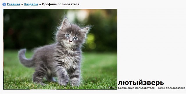 РПЛ 2018-2019(часть II)