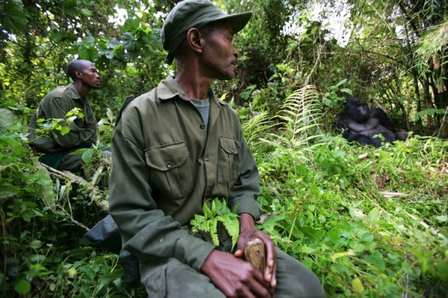 Убийство в Национальном парке Virunga (+18)