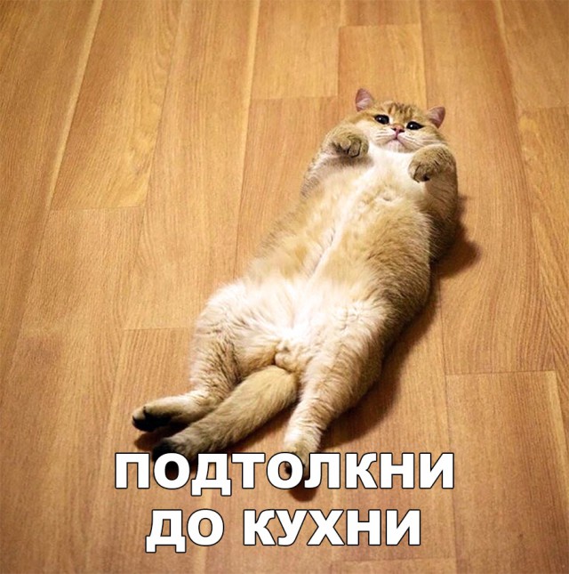 Немного милоты