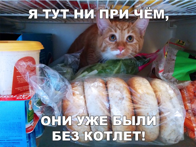 Немного милоты