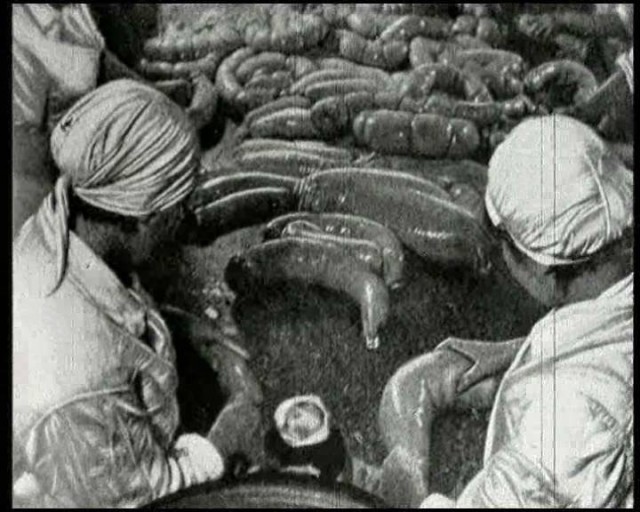 Та самая «Докторская»