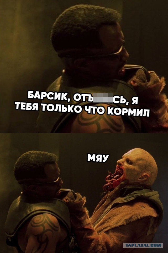 Картинки с текстом