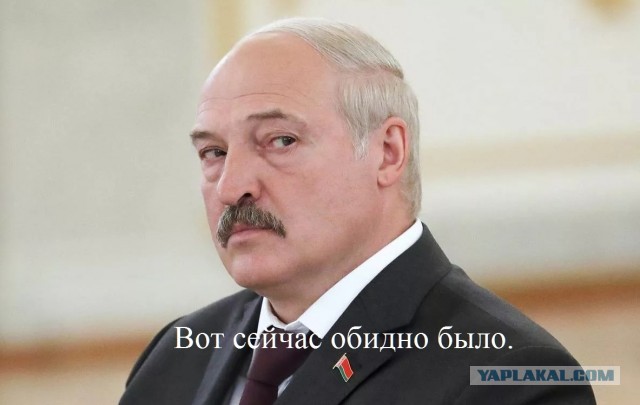 Не усики, а пропуск в трусики. Фотографии истинных мачо