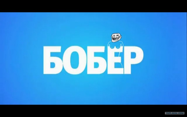 В мире животных: Бобёр