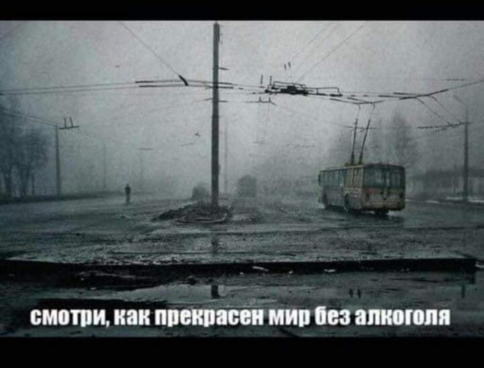 Бредзона в картинках 26.11.2019