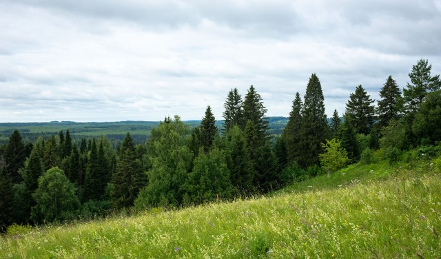 Деревенская Америка - 6