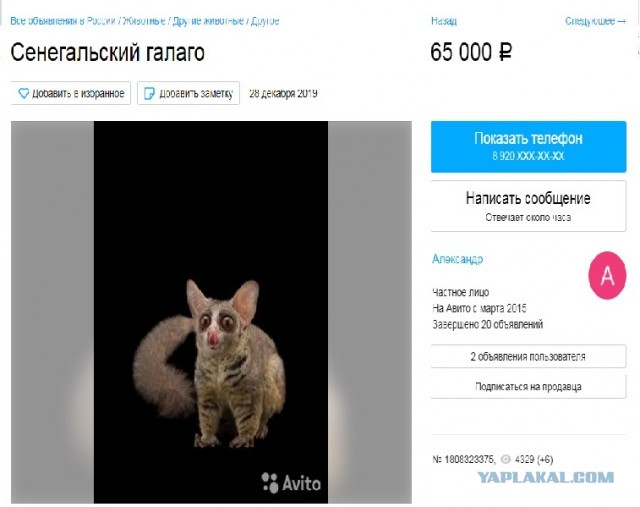 Девушка вместо мужика заимела себе это дерзкое животное