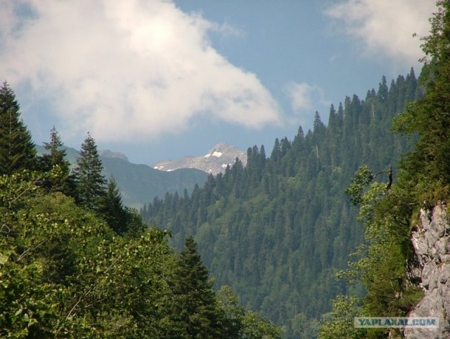 Абхазия (49 фото)