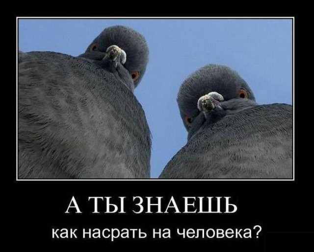 Пандемия. Коронавирус. Россия и мир. Последняя информация. Часть 17