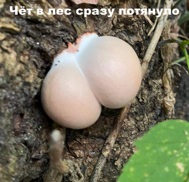Бредзона 24.09.20