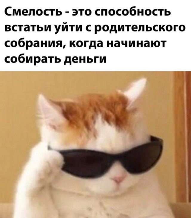 Весёлый полтишок 15.02