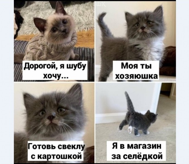 Картинки и мемы для настроения