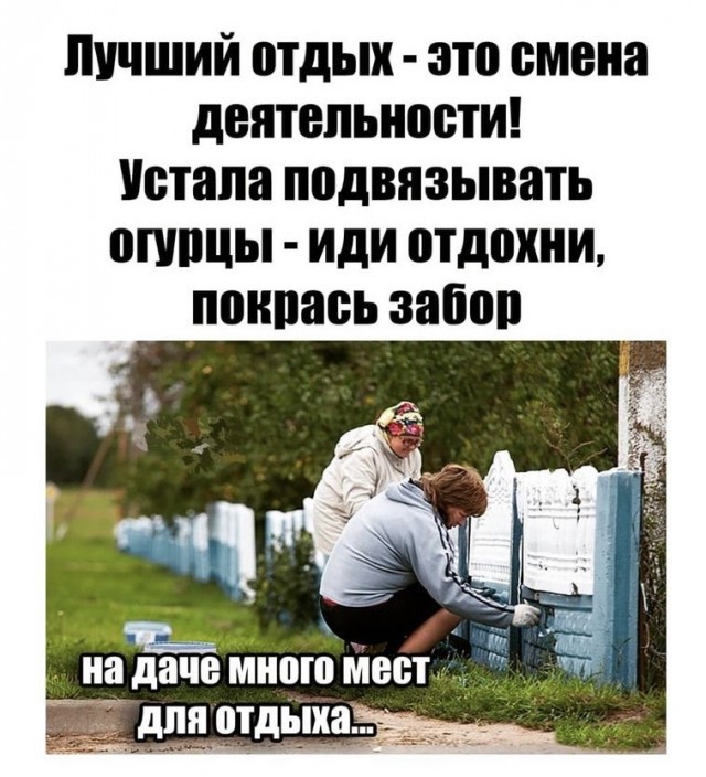 Картинки и мемы для настроения 17.06.2021