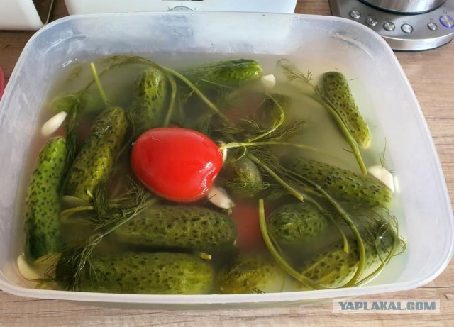 Кулинарная общалка