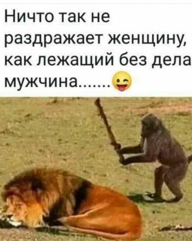 Послушал жену...