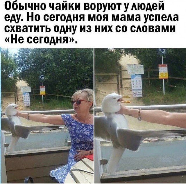 Так себе картинки 17.10.21